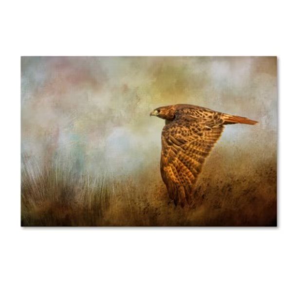 Jai Johnson 'Stealthy Hunter' Canvas Art, 16x24, Trademark Fine Art, Mfr#: ALI15074-C1624GG